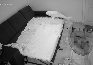 My roommates begin midnight sex with oral foreplay