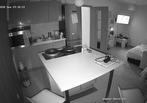 Couple watches TV in the evening and has time for sex