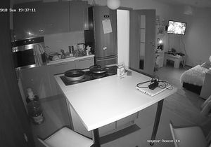 Couple watches TV in the evening and has time for sex