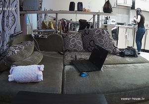 Pretty tenants eat juicy oranges and work on laptop