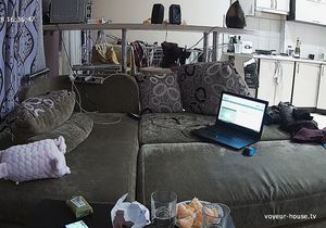 Pretty tenants eat juicy oranges and work on laptop