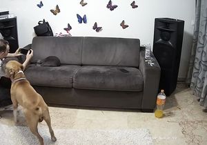 I was out of town when a friend brought girls who undressed