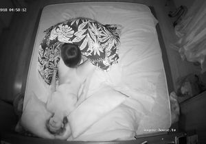 Girls kiss each other lying in the bed and I really turn on